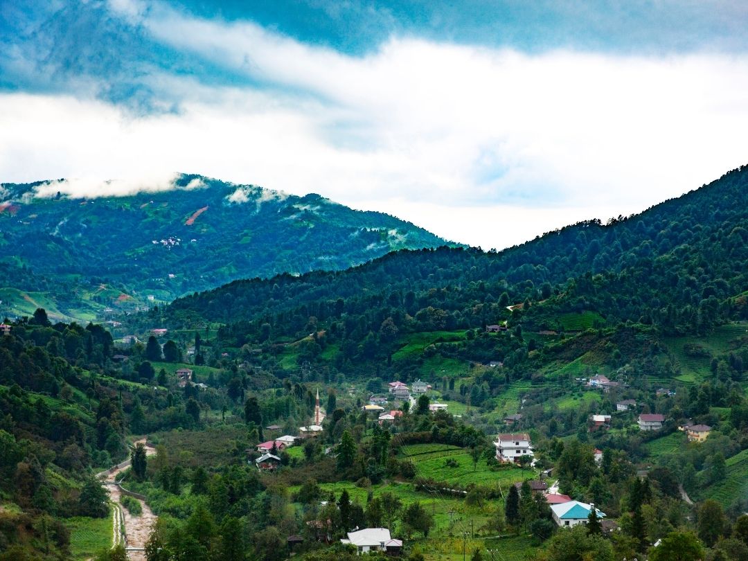 Lush green garden and communal areas in a residential complex